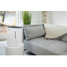 LB 55 - Humidificateur d'air (50m?)