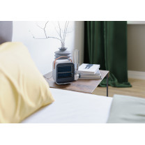 LV 50 - Ventilateur de table