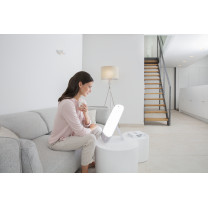 TL 85 - Lampe à lumière du jour