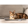 Tapis chauffant Lilli - Love Your Pet Beurer - PP 220 S